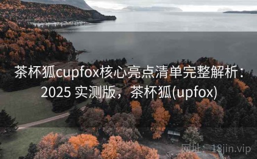 茶杯狐cupfox核心亮点清单完整解析：2025 实测版，茶杯狐(upfox)