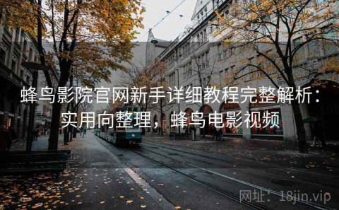 蜂鸟影院官网新手详细教程完整解析：实用向整理，蜂鸟电影视频