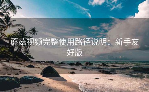蘑菇视频完整使用路径说明：新手友好版