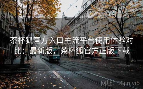 茶杯狐官方入口主流平台使用体验对比：最新版，茶杯狐官方正版下载