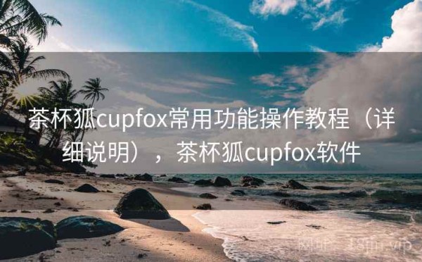 茶杯狐cupfox常用功能操作教程（详细说明），茶杯狐cupfox软件