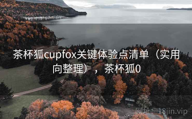 茶杯狐cupfox关键体验点清单（实用向整理），茶杯狐0